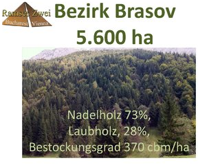 Wald mit 5.600 ha Mischwald.