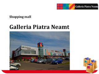Shopping Mall Business Project