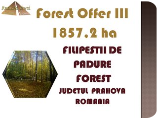 Forest Offer Filipesti de Padure, Judetul Prahova